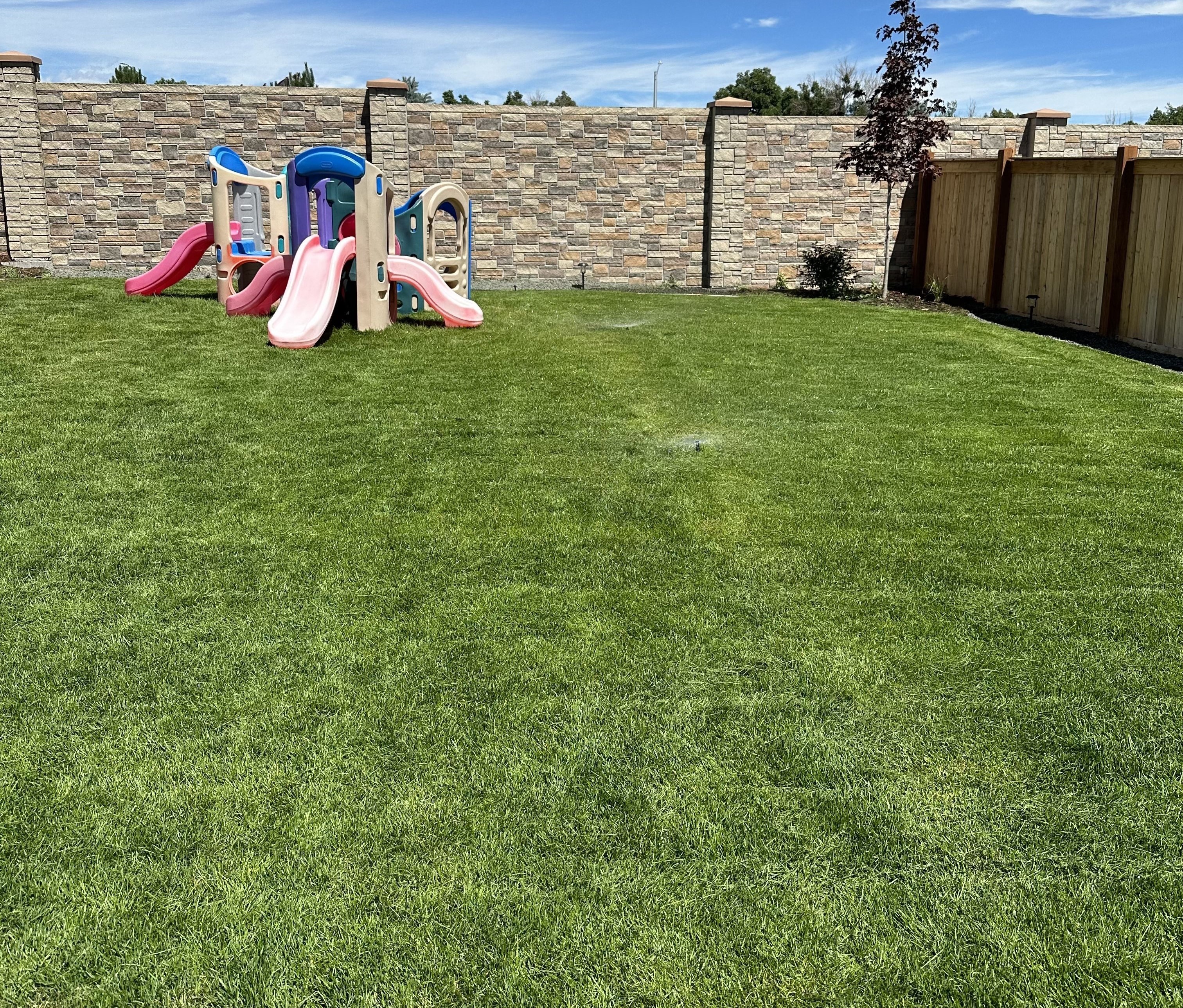 Sprinkler Installation